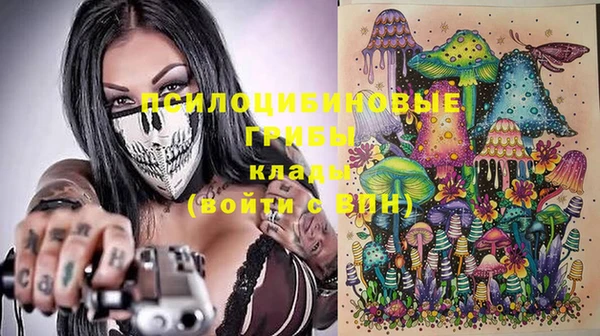 гашик Алзамай