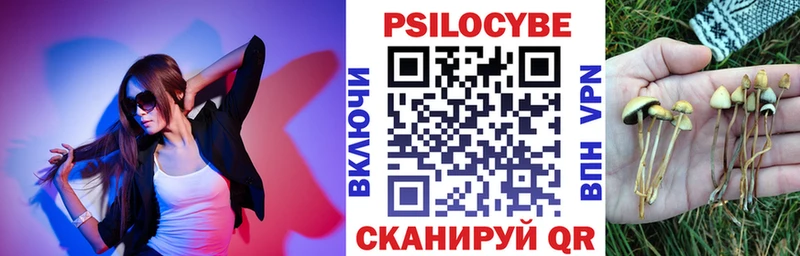Псилоцибиновые грибы мицелий  Урай 